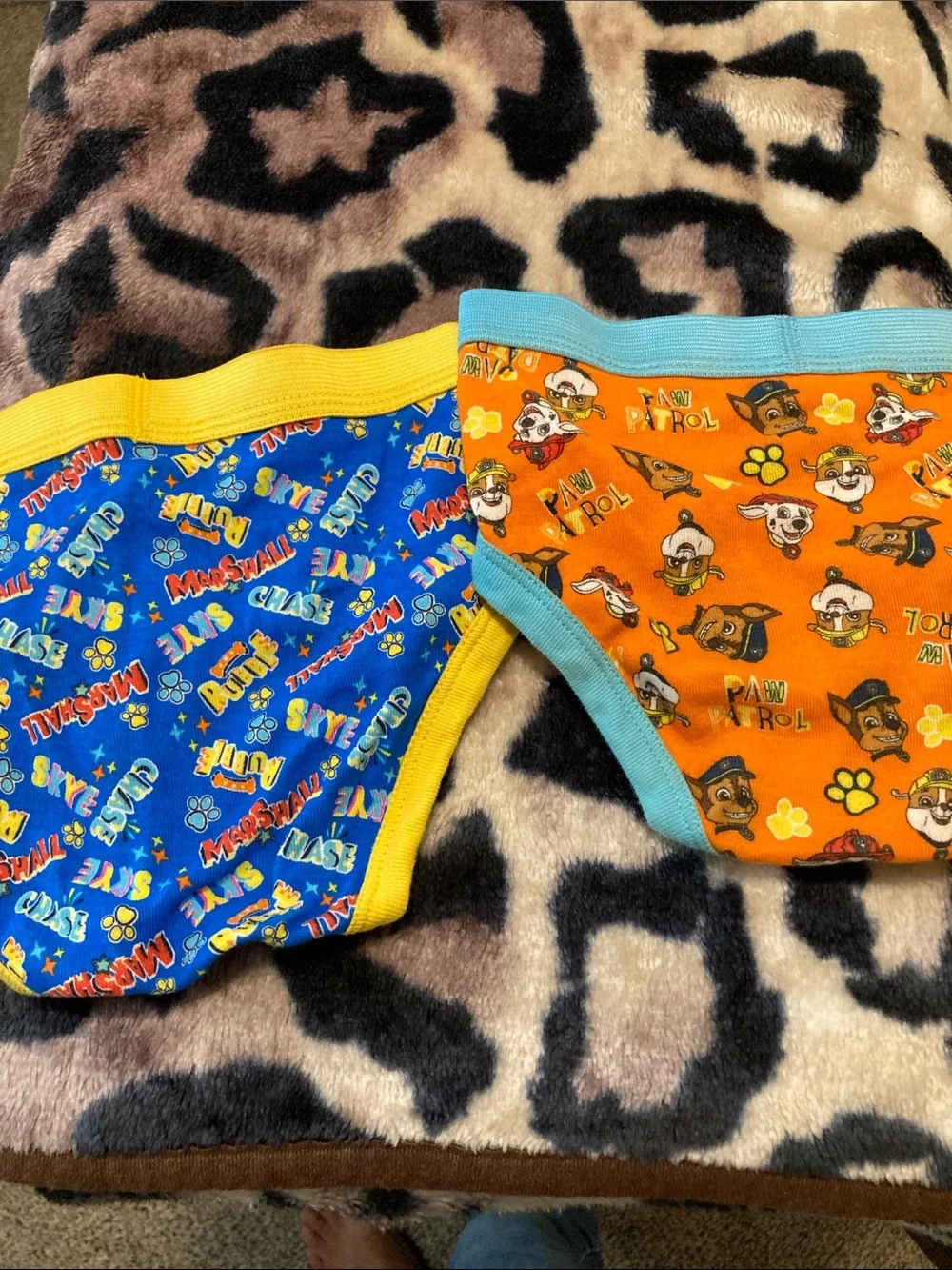 12 PAW Patrol Kids Briefs - Blue/Red/Yellow Character Underwear
